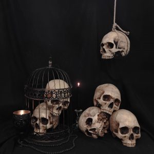 Profane Skull - Preventa
